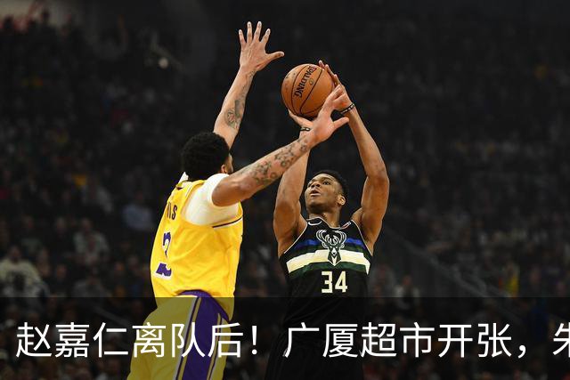 赵嘉仁离队后！广厦超市开张，朱俊龙布朗被疯抢，广东要胡金秋？