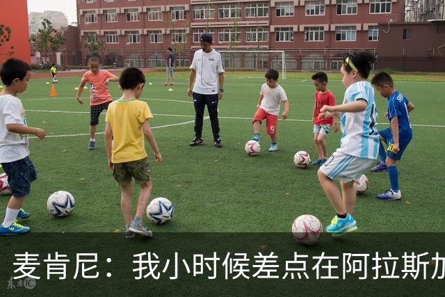 麦肯尼：我小时候差点在阿拉斯加生活 若去或成世界级狗拉雪橇手
